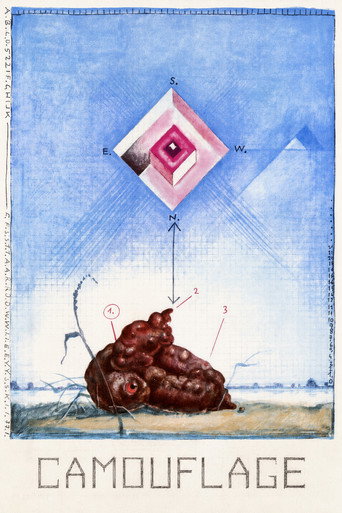 تمويه