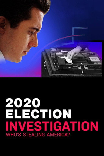 التحقيق في انتخابات 2020: من يسرق أمريكا؟