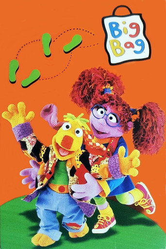 حقيبة كبيرة
