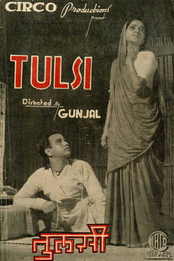 تولسي