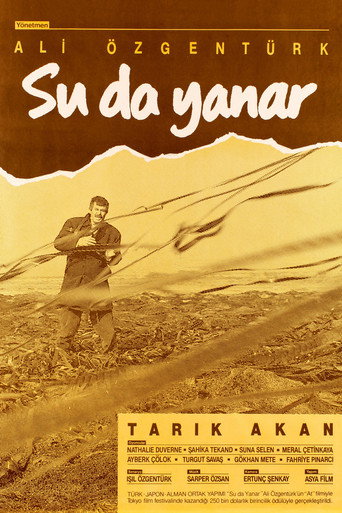 سو دا يانار