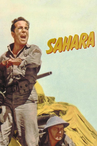 الصحراء
