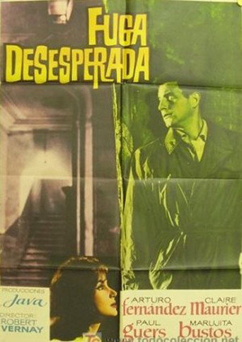 رحلة يائسة