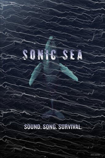 سونيك سي
