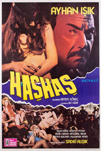 حشاش