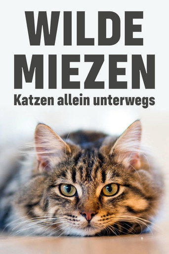وايلد ميزن - Katzen allein unterwegs