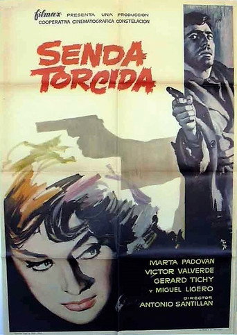 سيندا torcida
