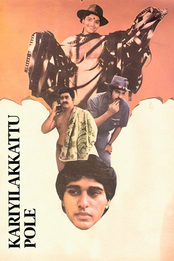 كارييلاكاتو القطب