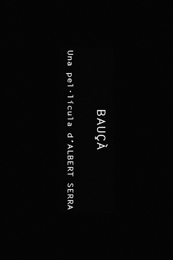 باوكا