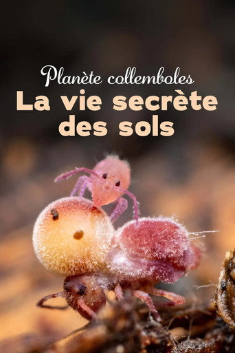 Springtails: جنود الأرض المختبئون