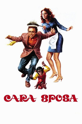 حبيب