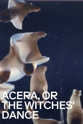 Acera، أو رقصة الساحرات