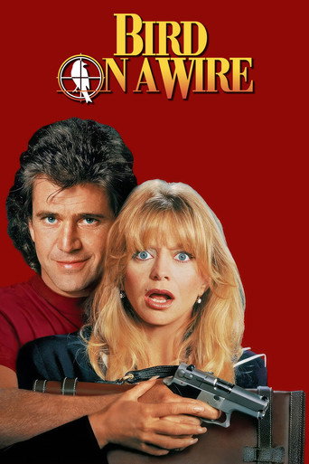 طائر على سلك