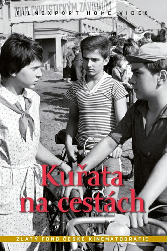 الدجاج في الرحلات