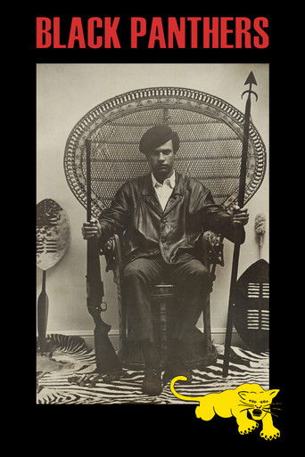 الفهود السود