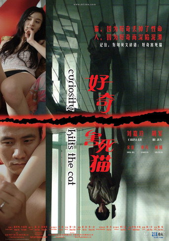 الفضول يقتل القطة