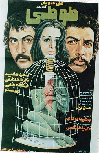 ببغاء