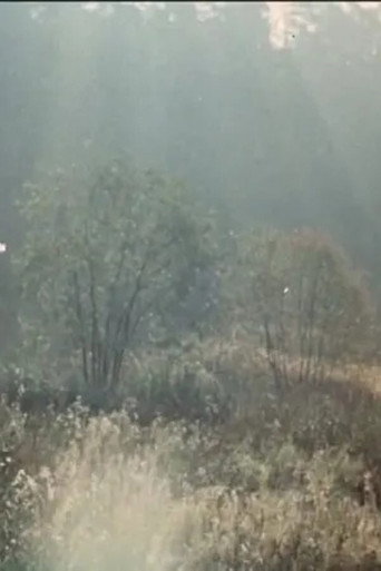 بستان الكرز