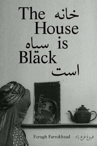 البيت أسود