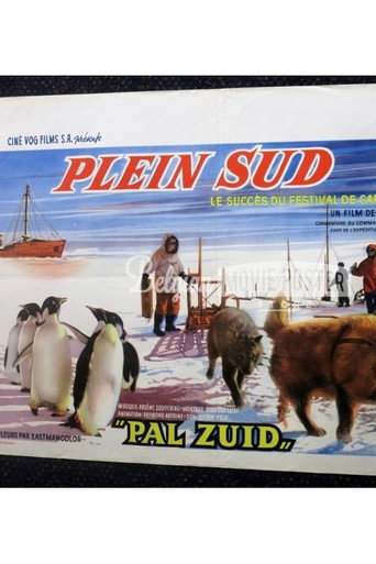 بلين سود