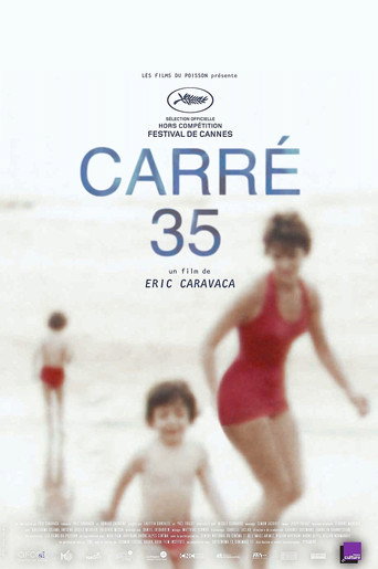 قطعة 35