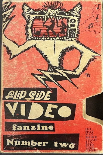 Flipside Video Fanzine رقم اثنين