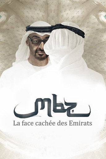محمد بن زايد، الوجه المخبأ للإمارات العربية
