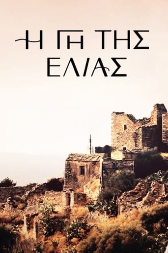 أرض الزيتون