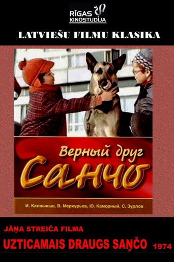 الصديق المخلص سانشو