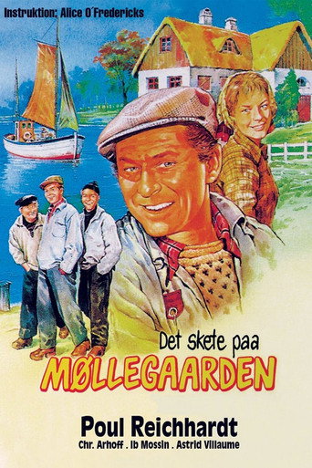 هذا هو التزلج في Møllegaarden