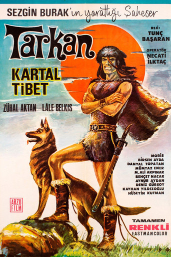 طارق