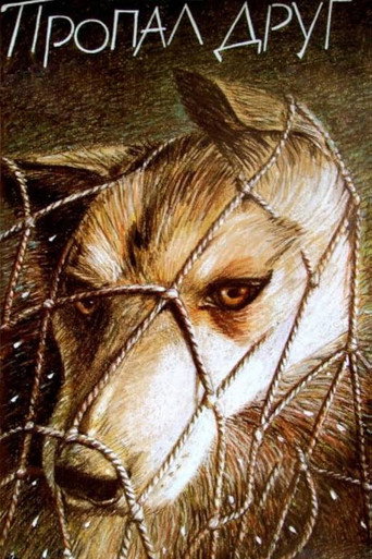صديق مفقود