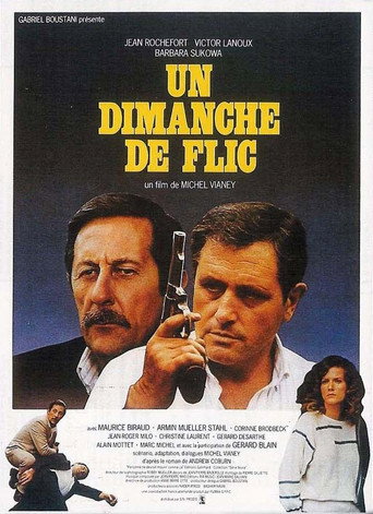 Un dimanche de flicks