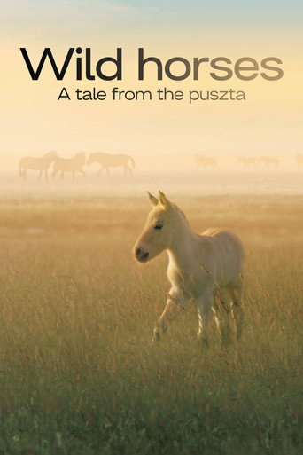 الخيول البرية - حكاية من Puszta