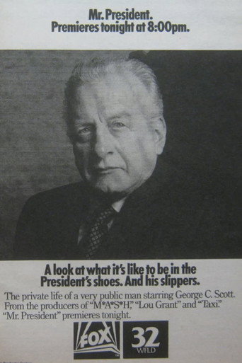 السيد الرئيس