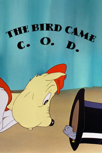 جاء الطائر C.O.D.
