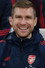 Per Mertesacker