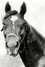 Man o' War